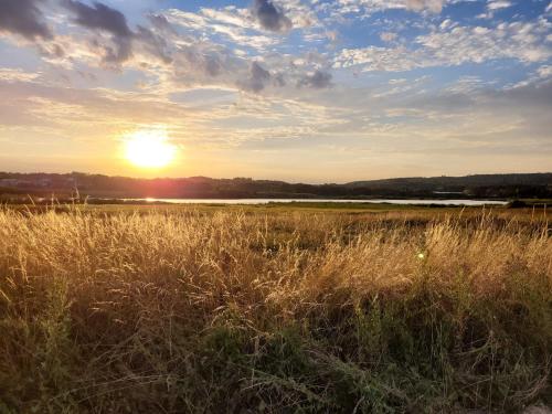 un campo di erba alta con il tramonto sullo sfondo di Ferienwohnung Eifelglück a Utzerath