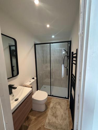 a bathroom with a shower and a toilet and a sink at kingsize Little Home in Stamford