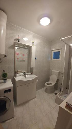 Apartment Tina tesisinde bir banyo