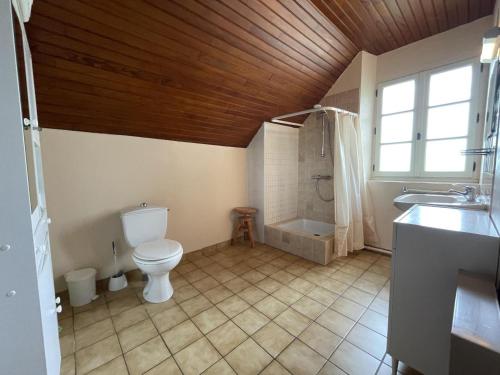 a bathroom with a toilet and a shower and a sink at Chez lilles in Arette