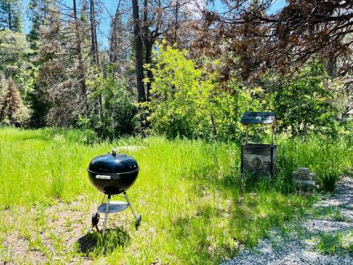 a grill sitting in the grass in a field at Dafna, Unit 3 - Two Bedroom, One Bath in Cromberg