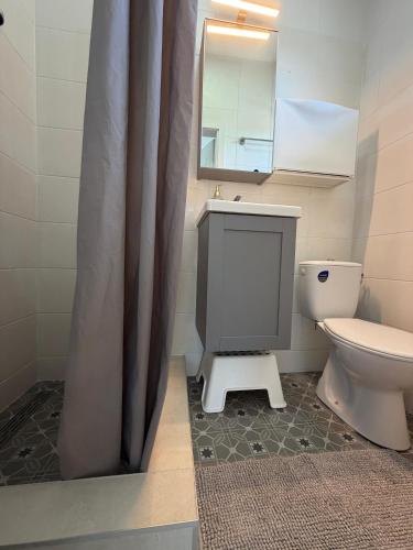a bathroom with a toilet and a sink and a mirror at Apartman na Drini in Loznica
