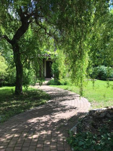 a tree shading a brick path in a park at Villa del Grossa Будинок з каміном та чаном на дровах in Kuchakiv