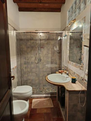 a bathroom with a shower and a toilet and a sink at B&B La Camilla in Sipicciano