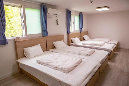 a row of beds in a room with windows at DreamTrip Guesthouse in Incheon