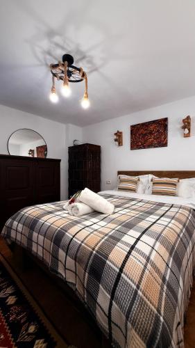 a bedroom with a bed with a ceiling fan at Pensiunea Belleview in Sibiu