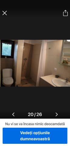 a bathroom with a white toilet and a sink at cosy forest chalet in Râşnov