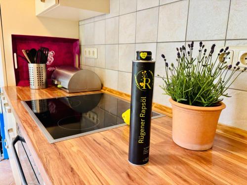 a black bottle on a kitchen counter with a plant at Ruhe-Natur-Meerblick-Das-Atelier-in-Lohme-Wandern-Radfahren-Golf-direkt-vor-der-Tuer in Lohme