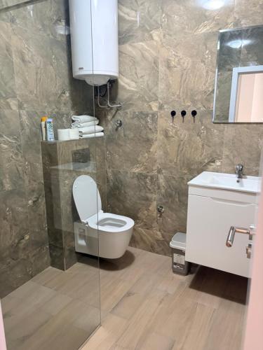 a bathroom with a toilet and a sink at BeoAir apartments in Surčin