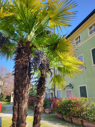a palm tree in front of a building at Residence Villa Stufler in Modena
