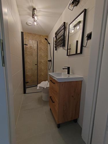 a bathroom with a sink and a toilet and a mirror at Apartamenty DK8 in Szalejów Górny