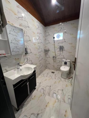 a bathroom with a sink and a toilet at Eat and Read Hotel in Skardu
