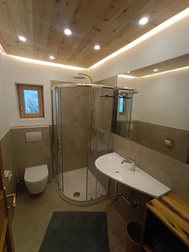 a bathroom with a shower and a sink and a toilet at Landhaus Rieder in Mittersill