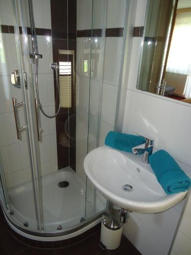 a bathroom with a sink and a glass shower at Haus am Wald in Neustift im Stubaital