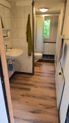 a bathroom with a sink and a toilet at aschis Lodge 2 in Soubey