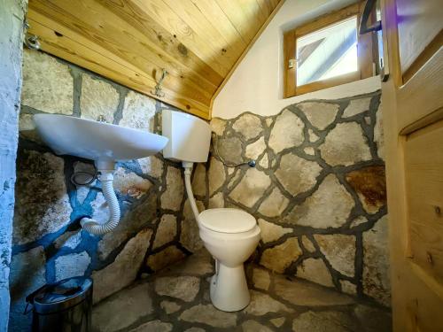 a bathroom with a toilet and a sink at Biocinovici vikendica in Kolašin