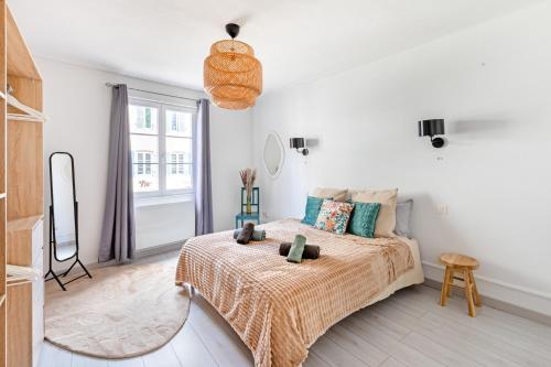 Appartement 1 Chambre