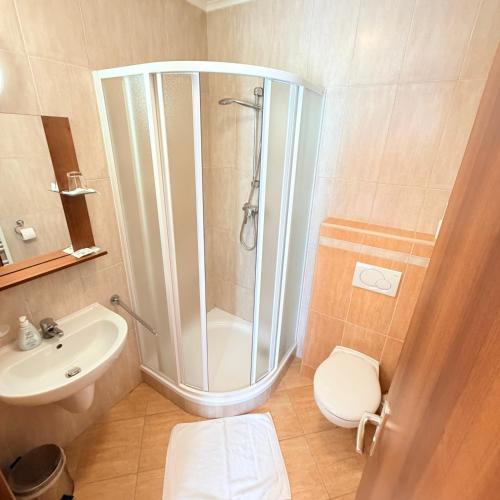 a bathroom with a shower and a toilet and a sink at Terra Wylak Winery in Veľké Zálužie