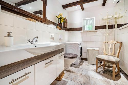 a bathroom with a sink and a toilet at Landsitz Blankensee in Blankensee