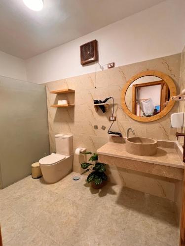 a bathroom with a sink and a toilet and a mirror at deluxe experience siwa in Siwa
