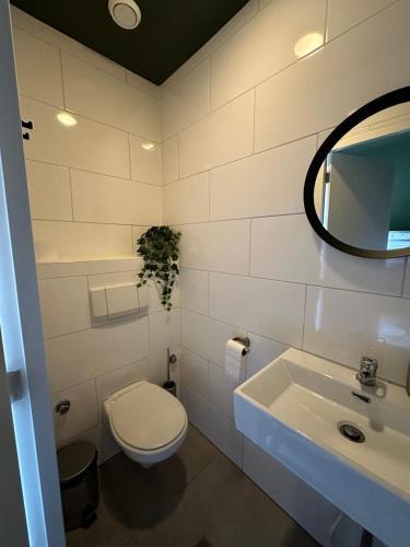 a bathroom with a toilet and a sink at B&B Landgoed de Bossenhoeve in Schayk