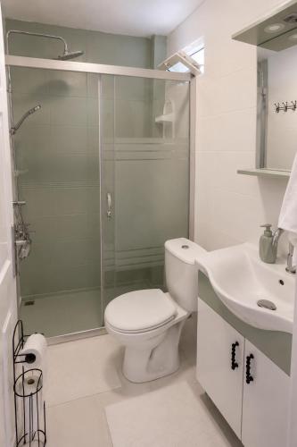 a bathroom with a shower and a toilet and a sink at Seaview Apart Bodrum in Bodrum City