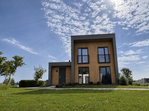 a house on a green field with a cloudy sky at Beach House 314 in Hindeloopen