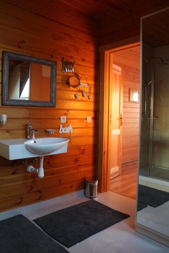 a bathroom with a sink and a mirror at Cisza jak makiem zasiał in Kobyla