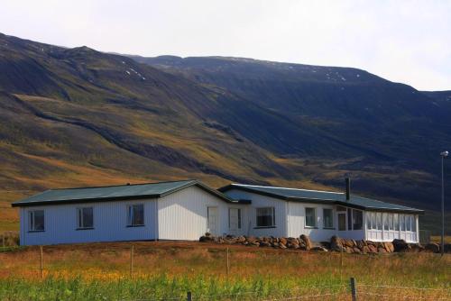 a white house in front of a mountain at Hofsstadir Farmhouse in Hofstaðir