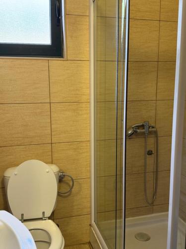 a bathroom with a toilet and a shower at Novia Apartment 22 in Đenovići