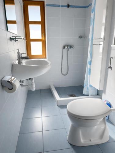 a white bathroom with a toilet and a sink at Mézes-Kuckó in Tihany