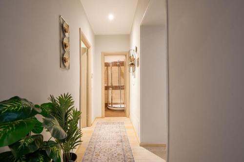 DnG House - Vatican Collection 80 square