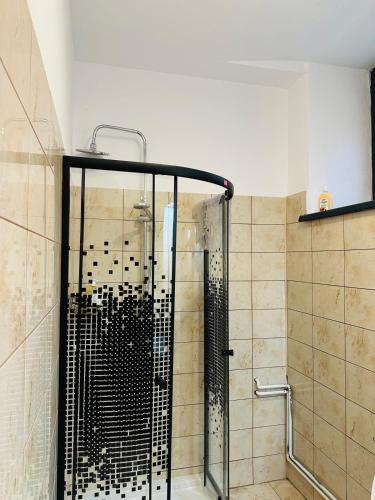 a shower with a glass door in a bathroom at Casuta de pe Eminescu in Oraviţa