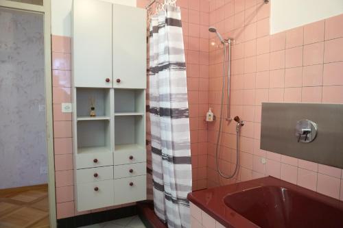 a bathroom with a shower and a sink at Gemütliches Appartement im Emmental - Sumiswald in Sumiswald
