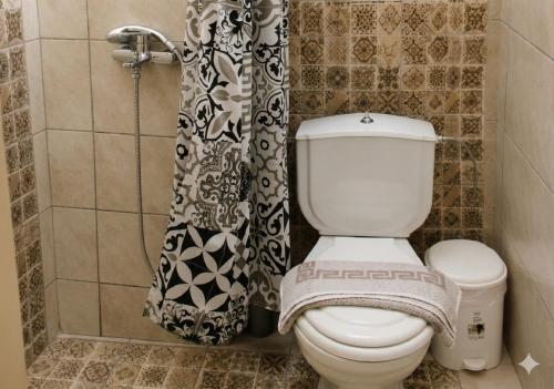 a bathroom with a toilet and a shower curtain at Aloni Studio in Azoyirás