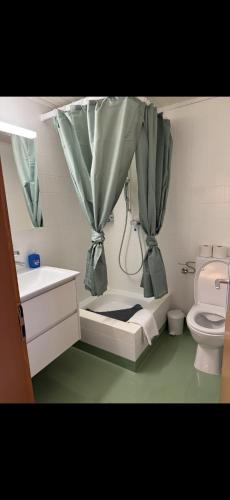a bathroom with a shower curtain and a toilet at Apartment MICKEY in Interlaken