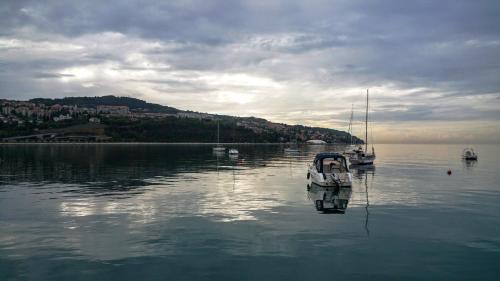 Φυσικό τοπίο κοντά σε αυτό το hostel