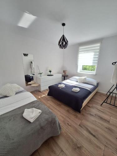 a bedroom with two beds and a window at Noclegi Leśne Bagno in Zwierzyniec