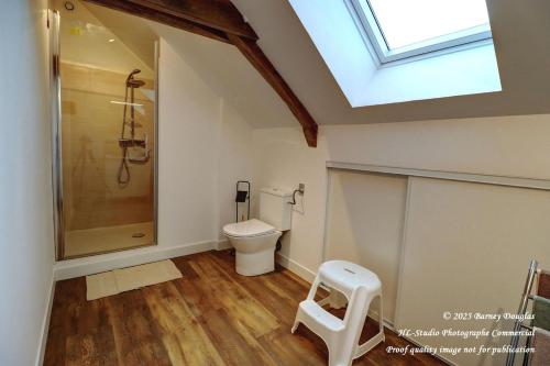 a bathroom with a shower and a toilet and a skylight at Gîte champêtre LA SUITE Limousin in Saint-Yrieix-la-Perche