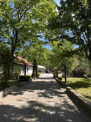 Gallery image of Hotels Stejariș in Suruceni