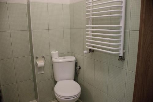 a bathroom with a toilet and a toilet paper dispenser at Pensjonat Korona in Modrzyca