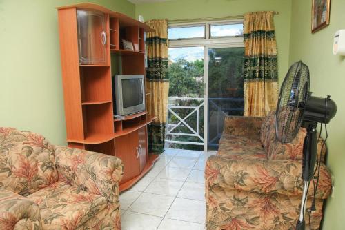a living room with a couch and a tv at Angel's Apartment Jamaica in Kingston