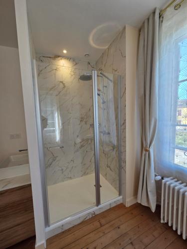 a shower with a glass door in a bathroom at La demeure de Chambord in La Ferté-Saint-Cyr