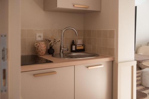 a kitchen with a sink and a counter at Apparts Rennes BnB Duhamel in Rennes