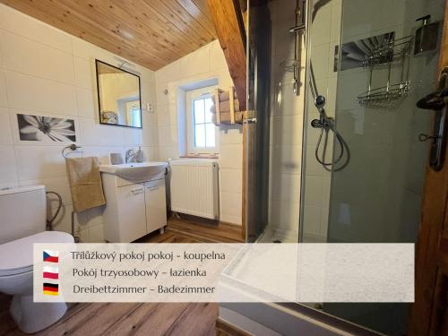 a bathroom with a shower and a toilet and a sink at Penzion Muštelka in Rokytnice nad Jizerou