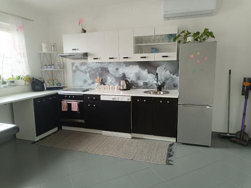 Apartman Antonić M