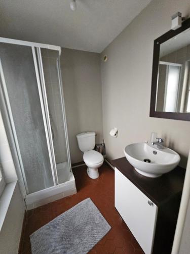 duplex au coeur de ville - les Halles - théatres