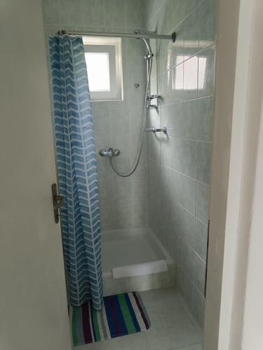 Apartman Antonić M