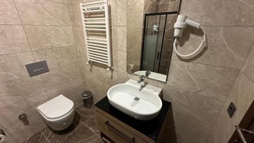 a bathroom with a sink and a toilet and a mirror at Alya Teras Otel in Trabzon