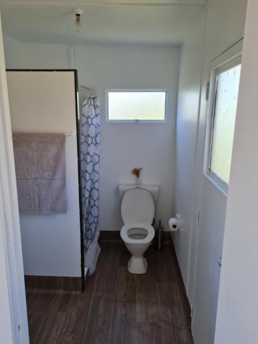 a small bathroom with a toilet and a window at Rakaunui Retreat in Raglan
